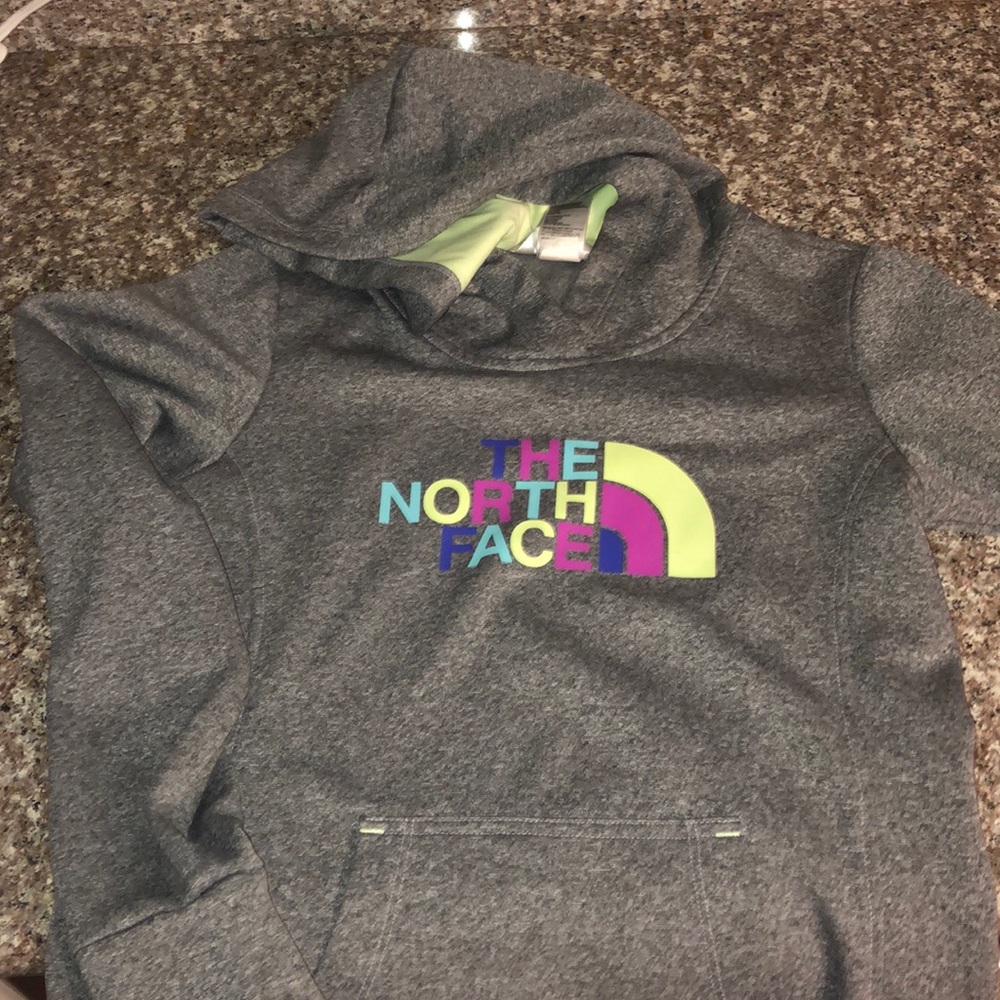The north face sweatshirt